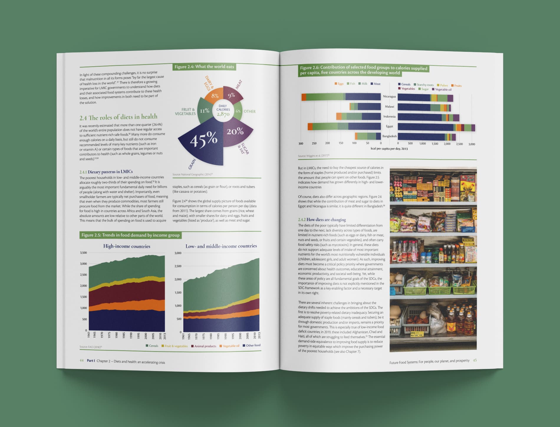 Foresight 2.0 Report inside spread