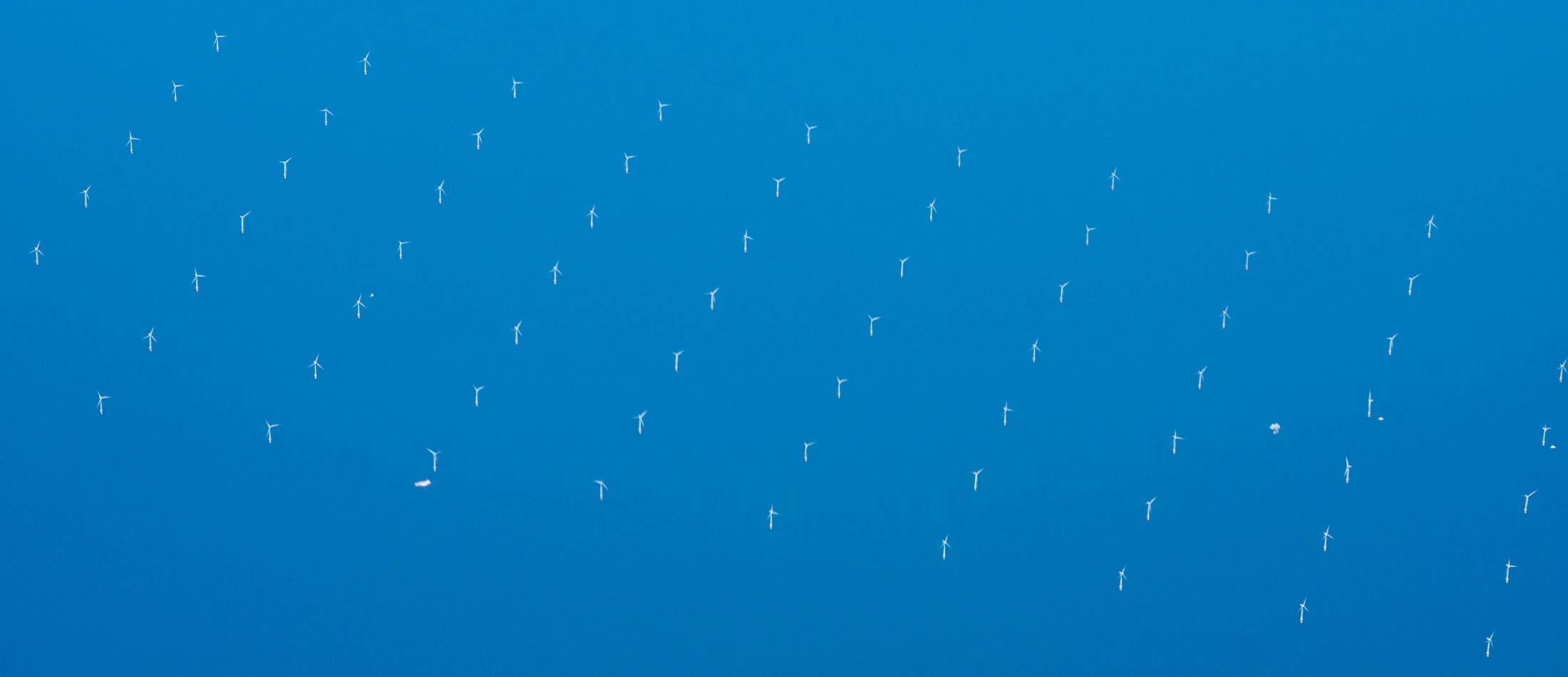 Offshore Wind Potential New Leasing