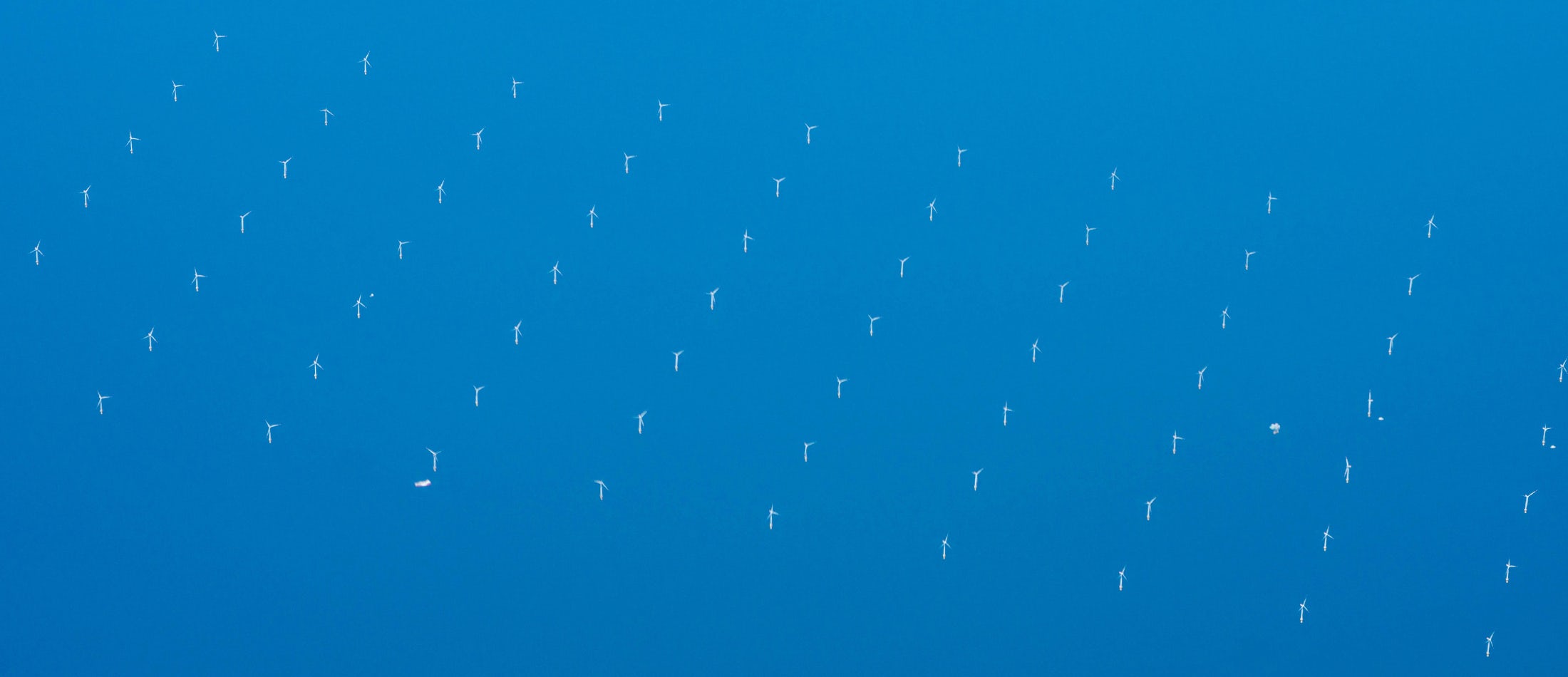 Offshore Wind Potential New Leasing